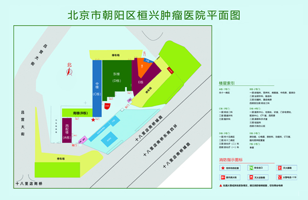 特长大黑屌操逼视频北京市朝阳区桓兴肿瘤医院平面图